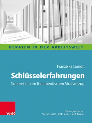 cover image of Schlüsselerfahrungen